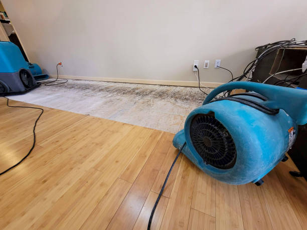 Professional Structural Drying technician working in Prospect, TN